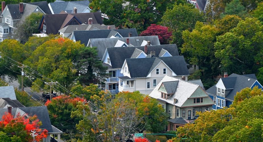 New haven in Connecticut New haven in Connecticut